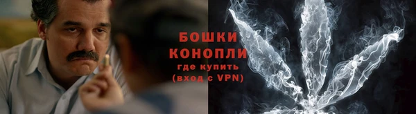 ГАЛЛЮЦИНОГЕННЫЕ ГРИБЫ Наволоки
