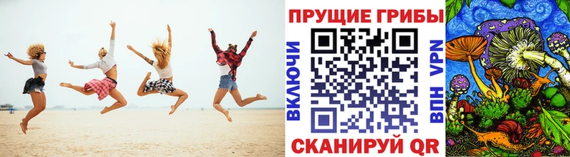 Псилоцибиновые грибы GOLDEN TEACHER Асино