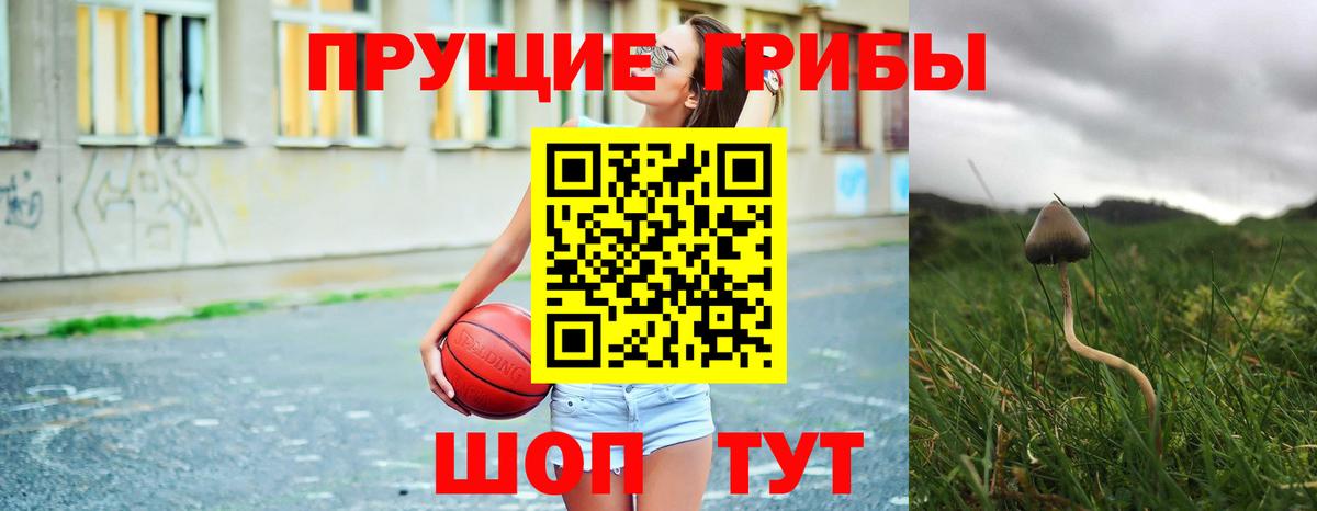 Псилоцибиновые грибы Cubensis  Галлюциногенные грибы MAGIC MUSHROOMS  Асино 