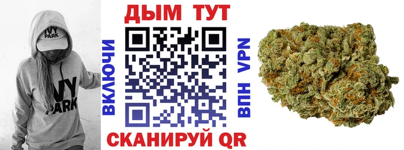 где можно купить наркотик  Асино  Каннабис тримм 