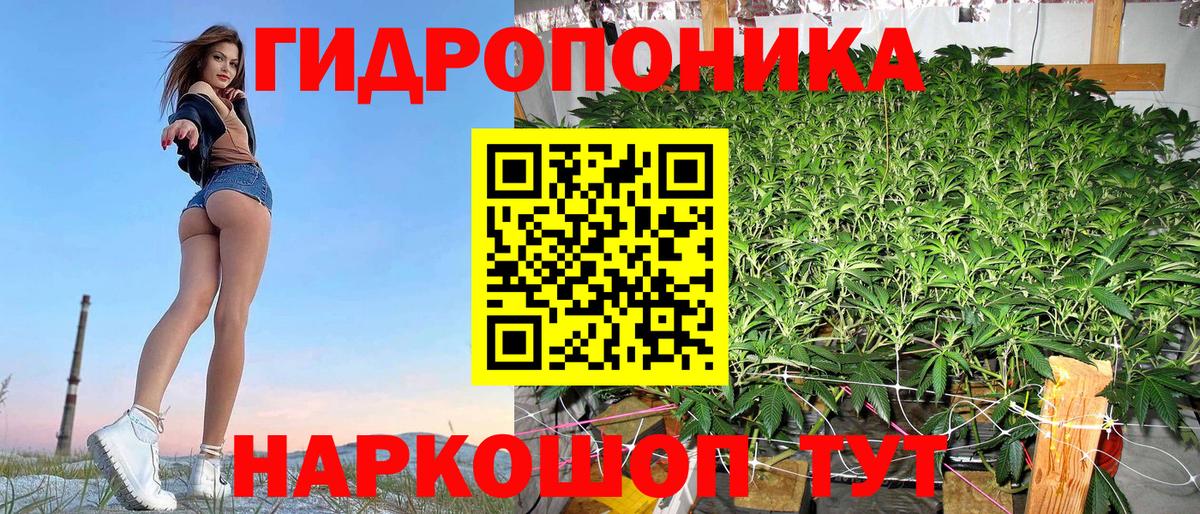 Марихуана гибрид Асино